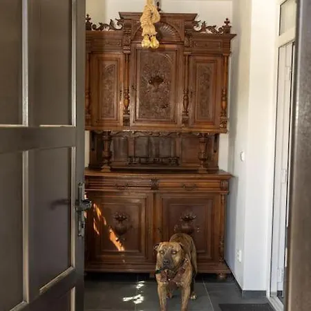 Apartment Stylish New 